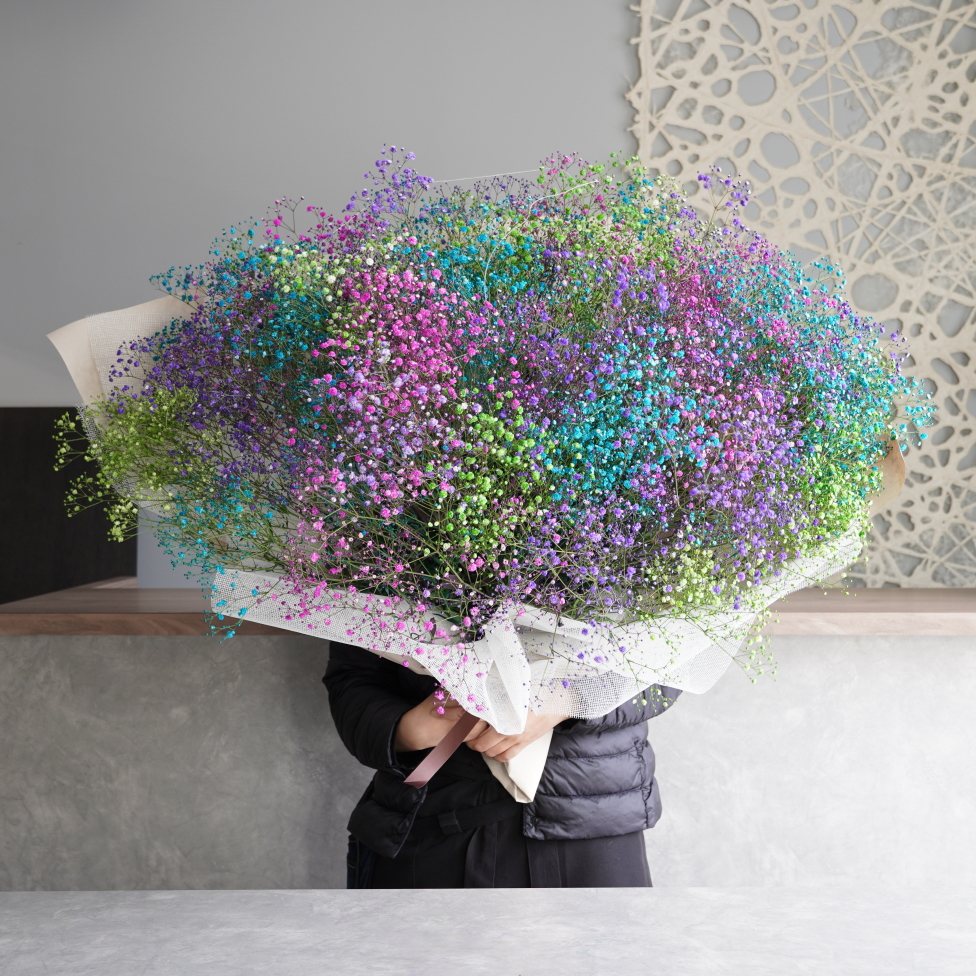 4月 カスミソウ