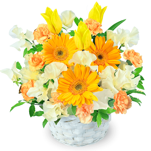 ２月誕生花チューリップ